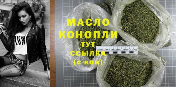 гашик Бородино