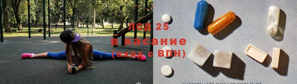 гашик Бородино