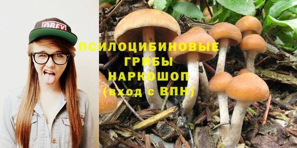 гашик Бородино