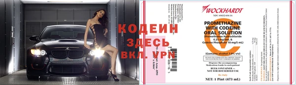 гашик Бородино