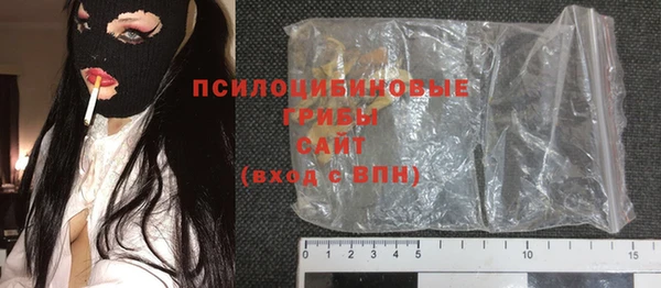 гашик Бородино